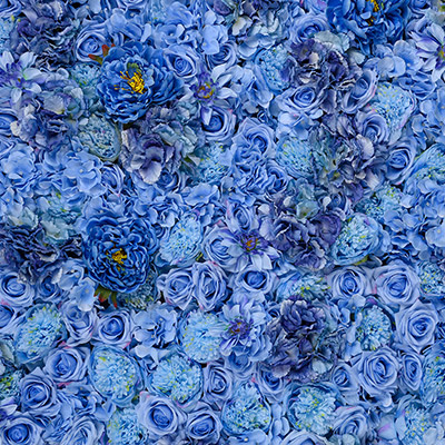 Blue Jasmine Flower Wall Details