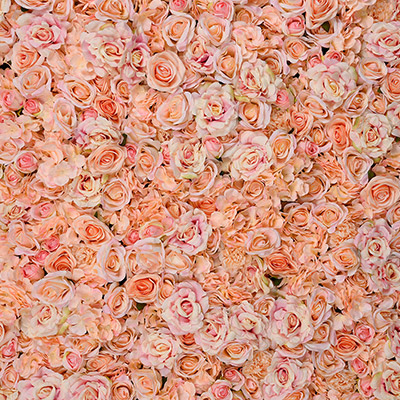 Blush Pink Flower Wall Details