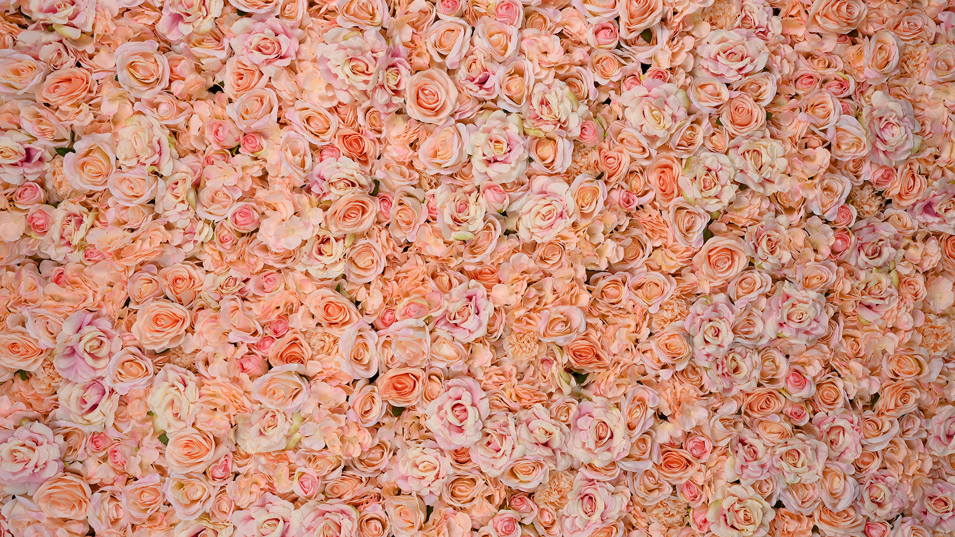 Blush Pink Flower Wall Texture