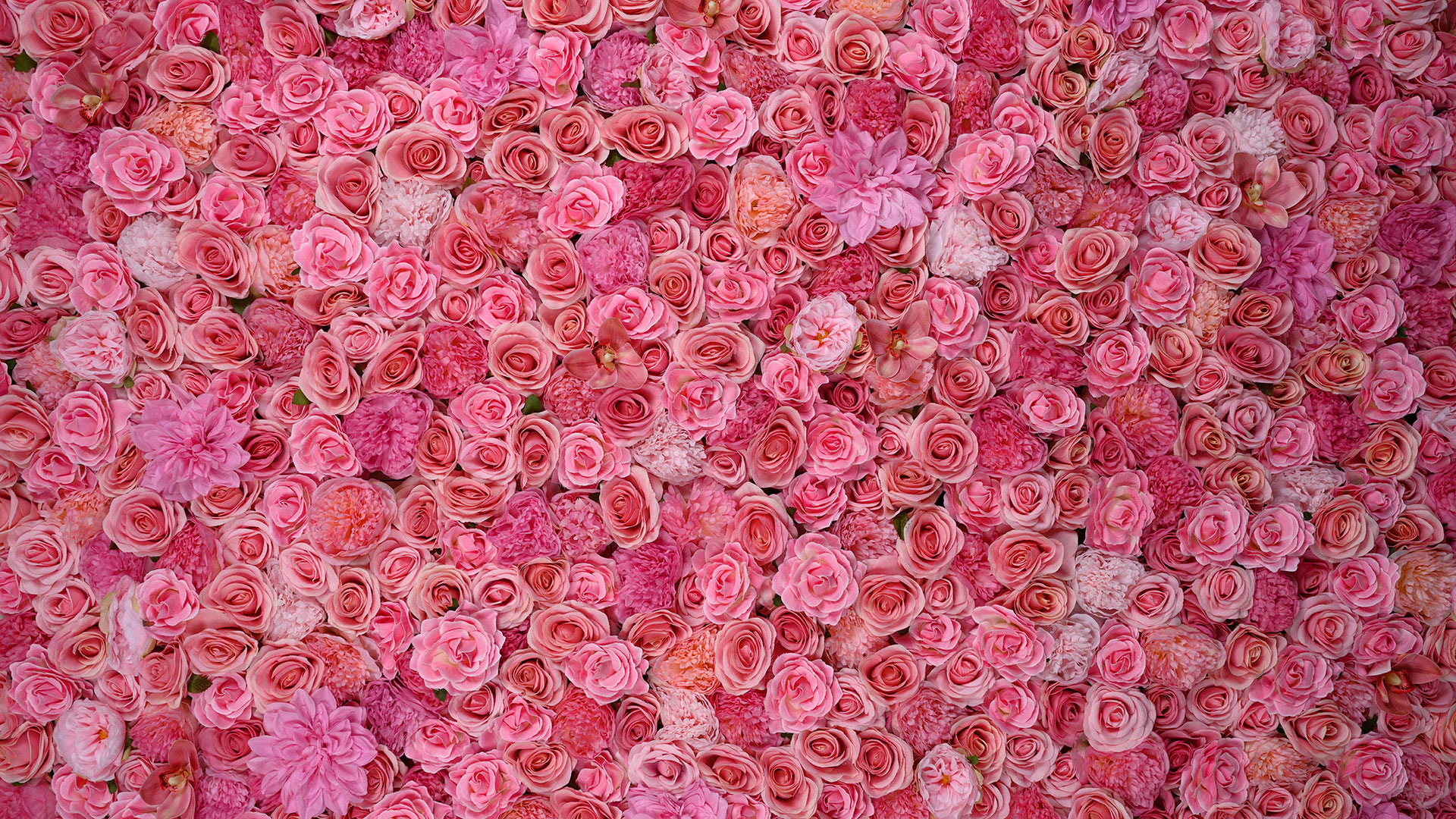 Princess Pink Flower Wall Texture