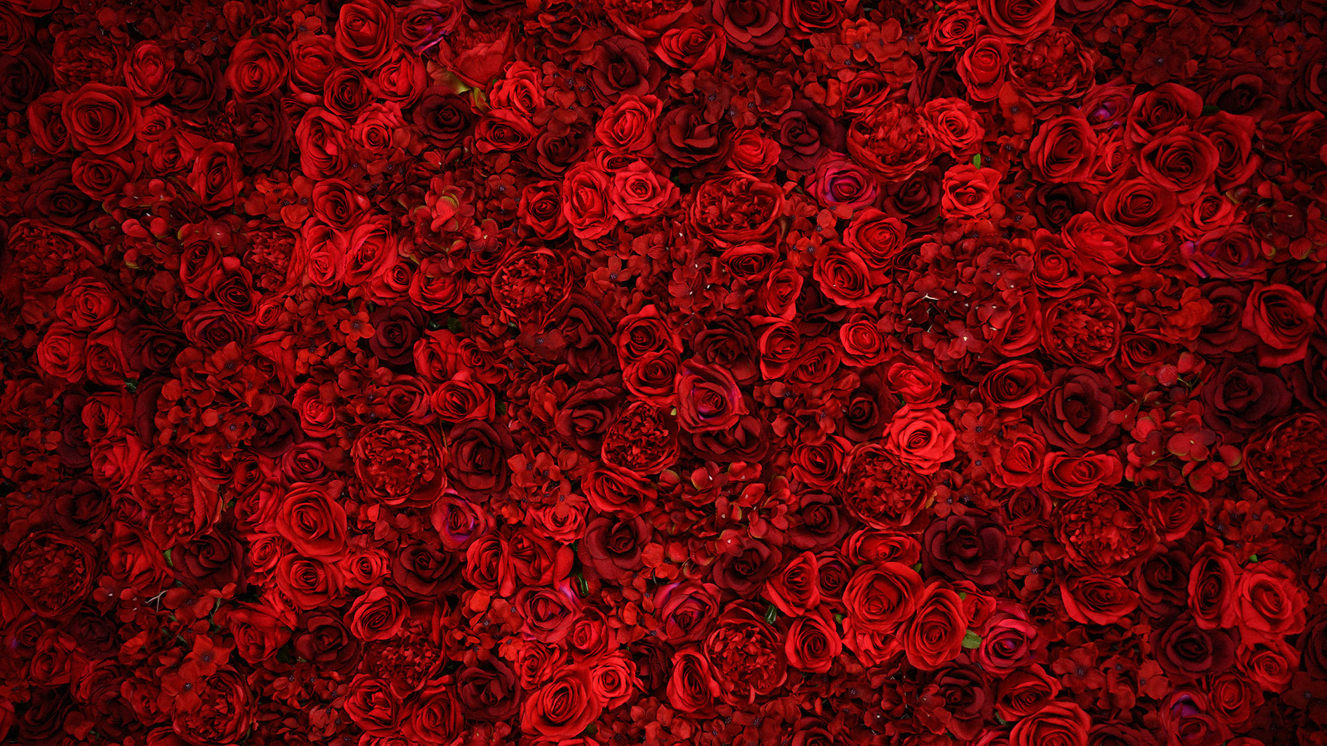 Red Velvet Flower Wall Texture